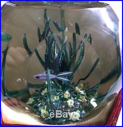 Perthshire 1980 Tropical Fish Limited Edition Paperweight 292