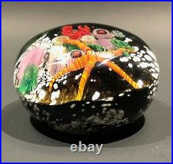 Peter Raos 1996 New Zealand Art glass paperweight UNDERWATER SCENE series MASTER