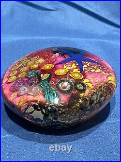 Peter Raos Paperweight 2000 Art glass Pacific Coral Reef and Starfish