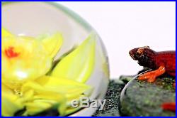 RICK AYOTTE Art GLASS Sculpture SALAMANDER Turtle FLOWER Sphere POND Paperweight