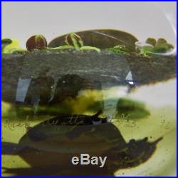 RICK AYOTTE Turtle Pond Life Magnum Art Glass LT ED 96 Paperweight, Apr 3.5Hx4W