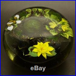 RICK AYOTTE Turtle Pond Life Magnum Art Glass LT ED 96 Paperweight, Apr 3.5Hx4W