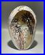 Richard Satava Art Blown Glass Paperweight Petroglyph 6 1996