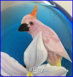 Rick Ayotte Magnum BIRD Pink COCKATOO & ORCHID Art Glass Paperweight Ltd. Ed