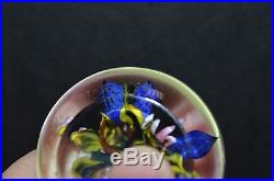 Rick Ayotte Studio Art Glass Paperweight M-32'89 Pink and Blue Flowers NICE