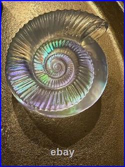 Robin Lehman Ammonite Art Glass Paperweight Initialed Dated L16 Ocean Decor