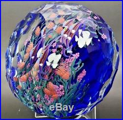 STEVEN LUNDBERG Angelfish Art Glass LT ED Magnum Paperweight, Apr 3.25Hx4.25W