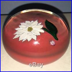 Saint Louis White Flower on Orange Base Art Glass Paperweight