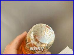 Signed Richard Satava hand blown 4.75 Pacific Coast Jellyfish Paperweight WOW