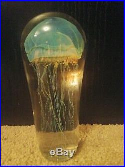 Studio Art Glass Sculpture Rick Satava Large 8 Passion Moon Jellyfish