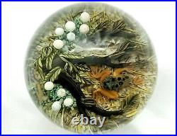 Stunning Cathy Richardson Frog on Rain Forest Floor Paperweight 3 EXCELLENT