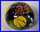 Tidal Pool Glass Paperweight Anemones & Sea Flowers Red Blue Yellow Green H2 99