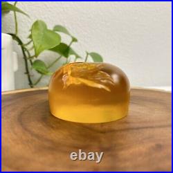 Tittot Art Glass Amber Crystal Signed 3D Paperweight Koi Pond Fish 3 Vtg 1998