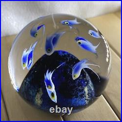 Touchstone Glass Richardson Schooling Fish Ocean Floor Lampwork Art Paperweight