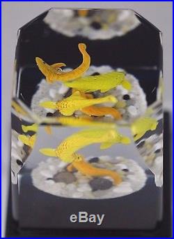 UNUSUAL & Awesome GORDON SMITH Aquarium KOI Paperweight Art Glass CUBE Sculpture