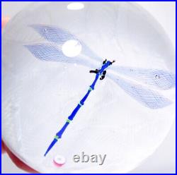 Vintage CAITHNESS Scotland Art Glass Dragonfly Paperweight in Box & Paperwork