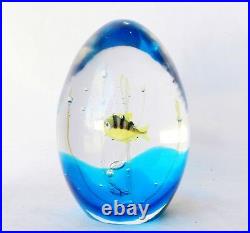 Vintage Elio Raffaeli Oggetti 5.5 Murano Fish Aquarium Art Glass Paperweight