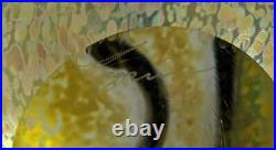 Vintage STEVEN CORREIA ART GLASS IRIDESCENT SNAKE PAPERWEIGHT 1997
