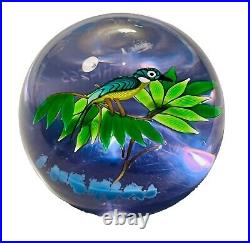 Vtg Caithness Scotland KINGFISHER Art Glass Paperweight Limited Edition 243/250