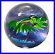 Vtg Caithness Scotland KINGFISHER Art Glass Paperweight Limited Edition 243/250
