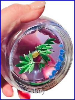 Vtg Caithness Scotland KINGFISHER Art Glass Paperweight Limited Edition 243/250