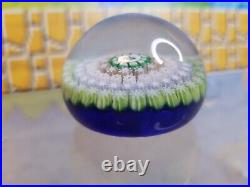 Vtg Perthshire Art Glass Millefiori Canes Butterfly Center Paperweight 2