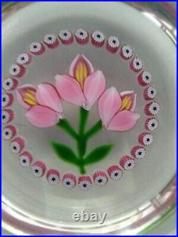 William Manson Crocus Limtd. Ed. Paperweight Made For Caithness Certificate